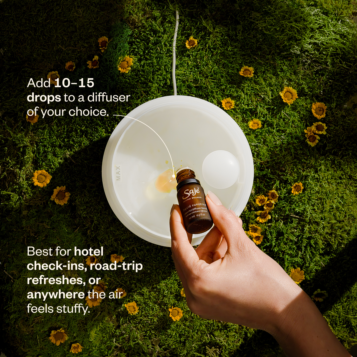 Fresh Air