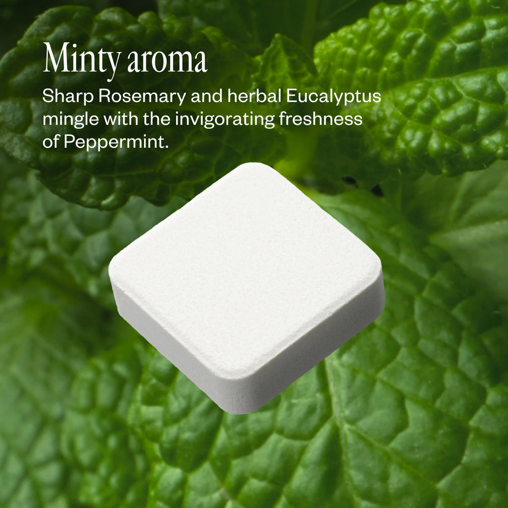 Zest Set